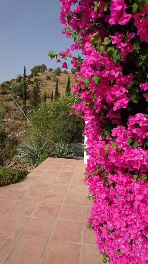 Cortijo Las Palmeras El Chorro Alora Exteriér fotografie